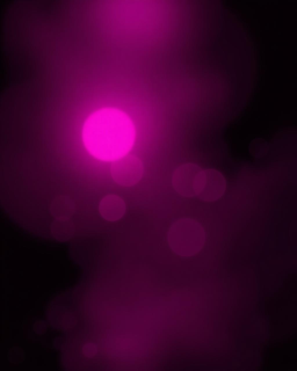 Lashes 5
