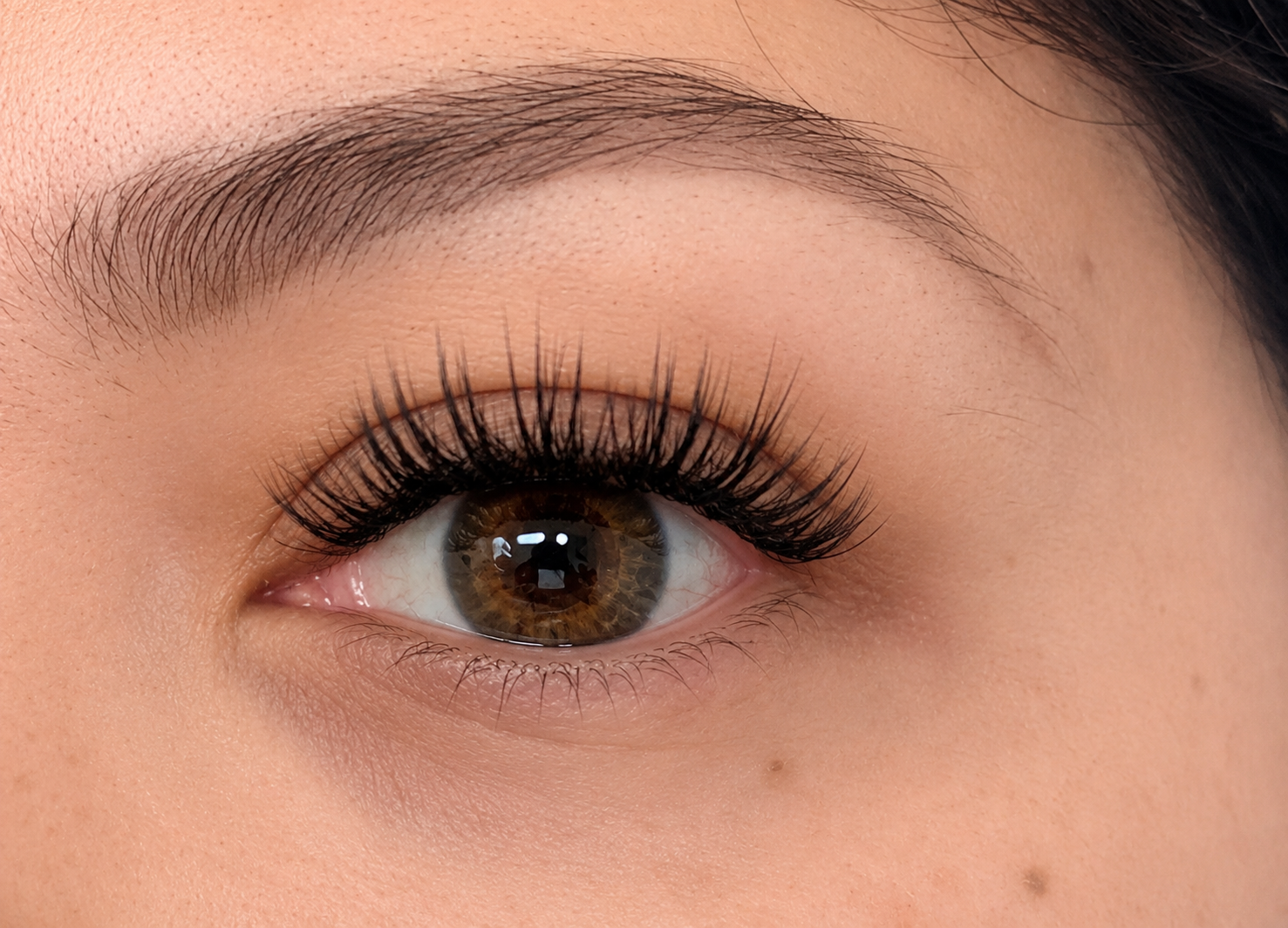 Lashes 2